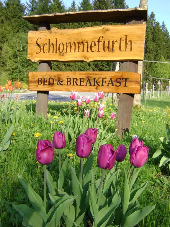 Bed & Breakfast Schlommefurth Acomodação com café da manhã St. Vith Exterior foto